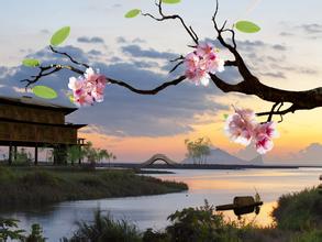 春光明媚之日易引起白癜风?